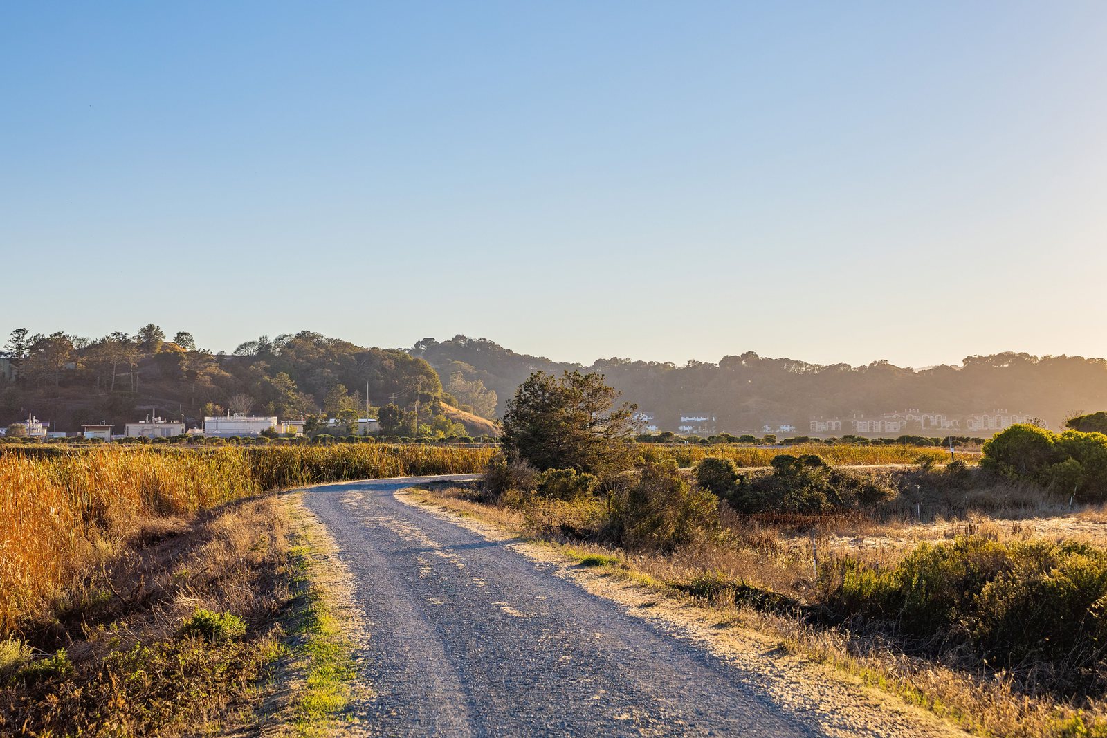 Gravel country road through dry brush and rolling hills