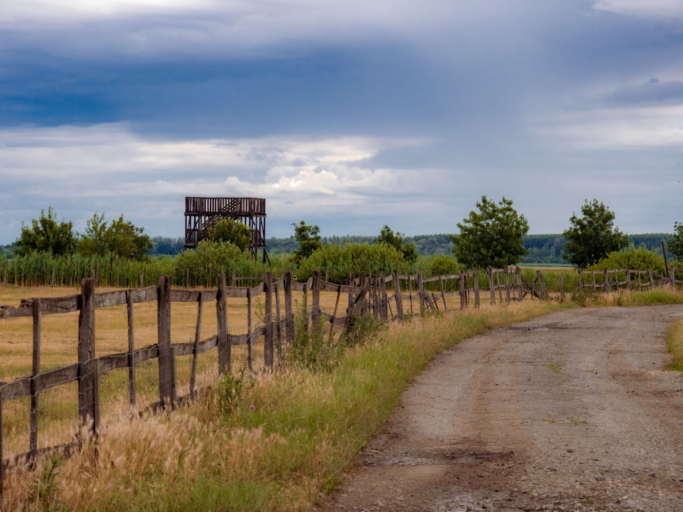 Rutted dirt road along a weathered fence line