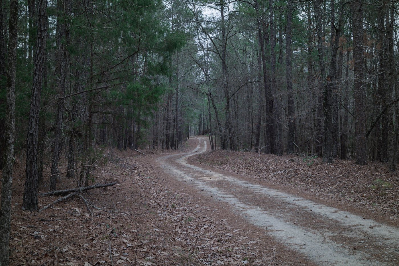 Land in South Carolina