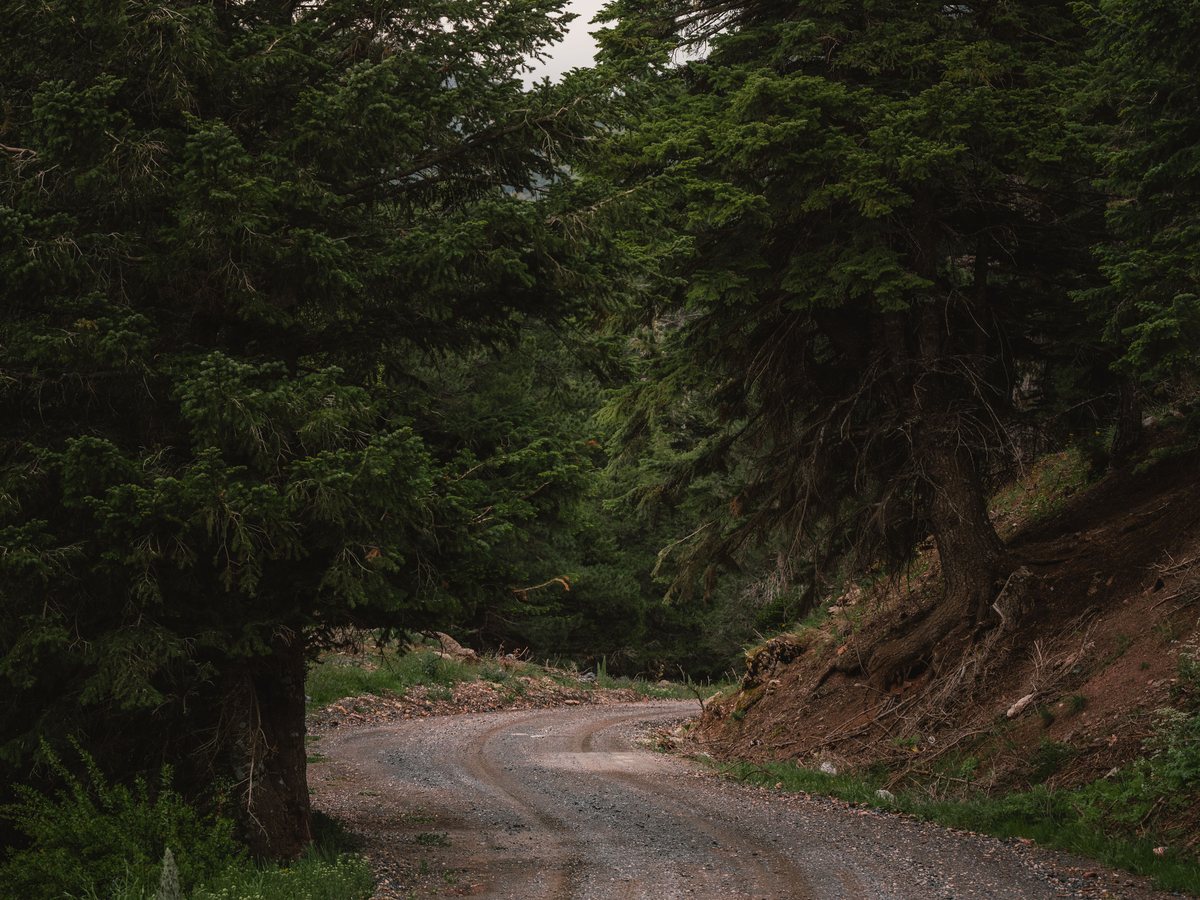 Land in Georgia