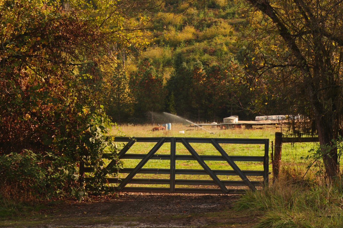 Land in Tennessee