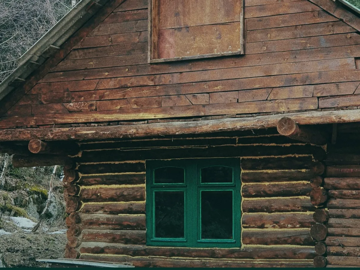 Wooden cabin in a forest clearing