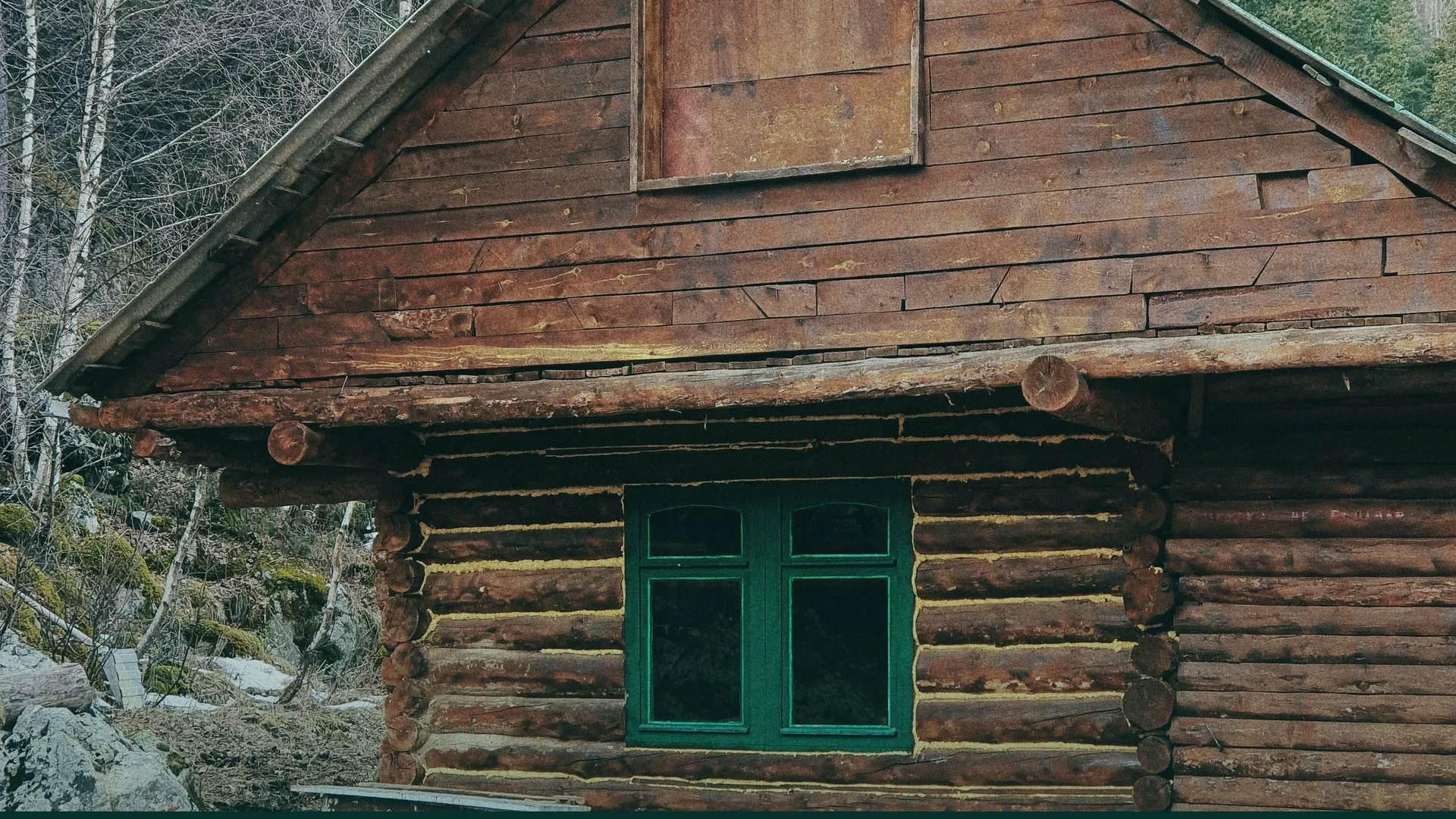 Wooden cabin in a forest clearing