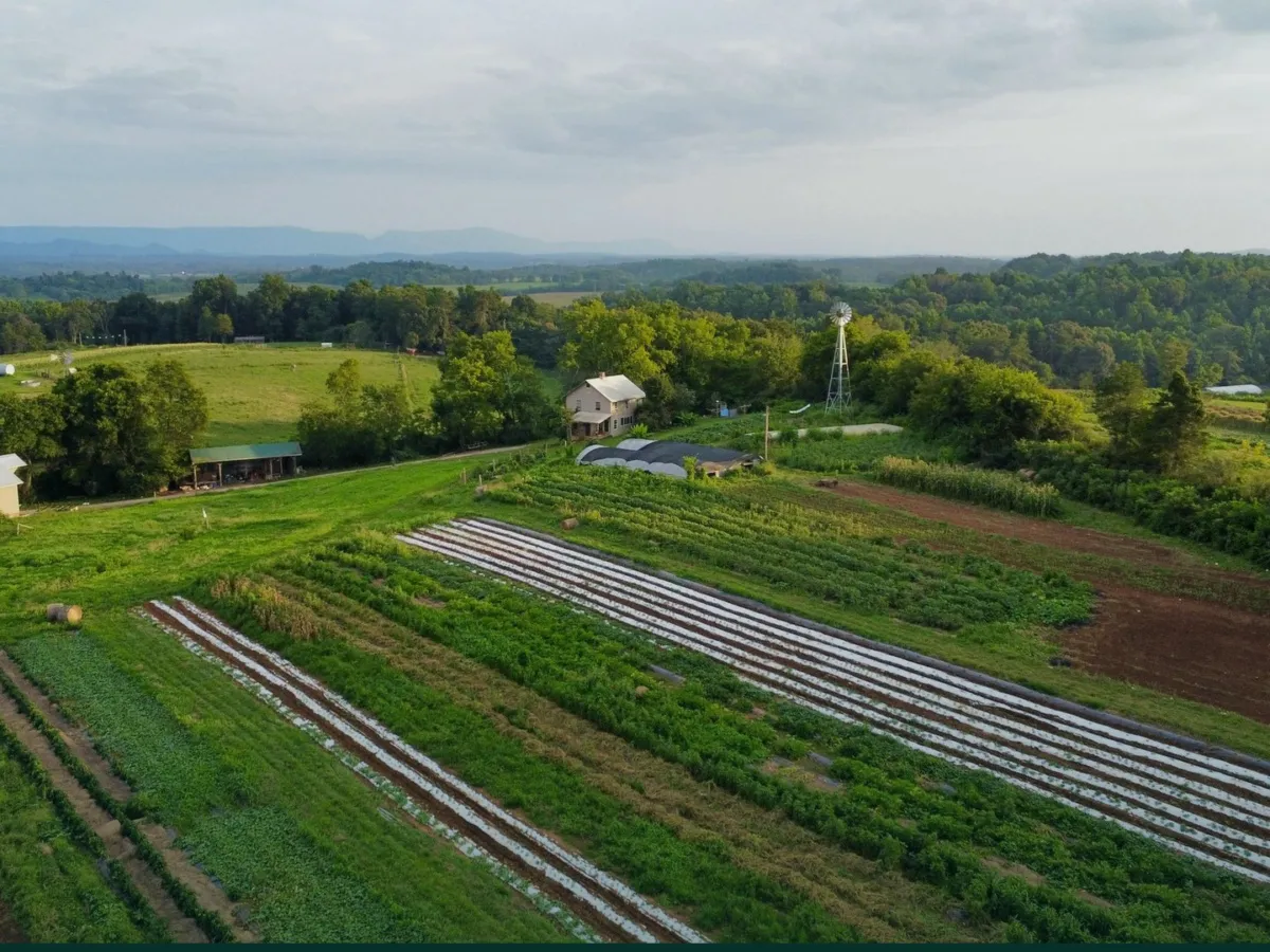 Aerial view of a rural farm with distant mountains