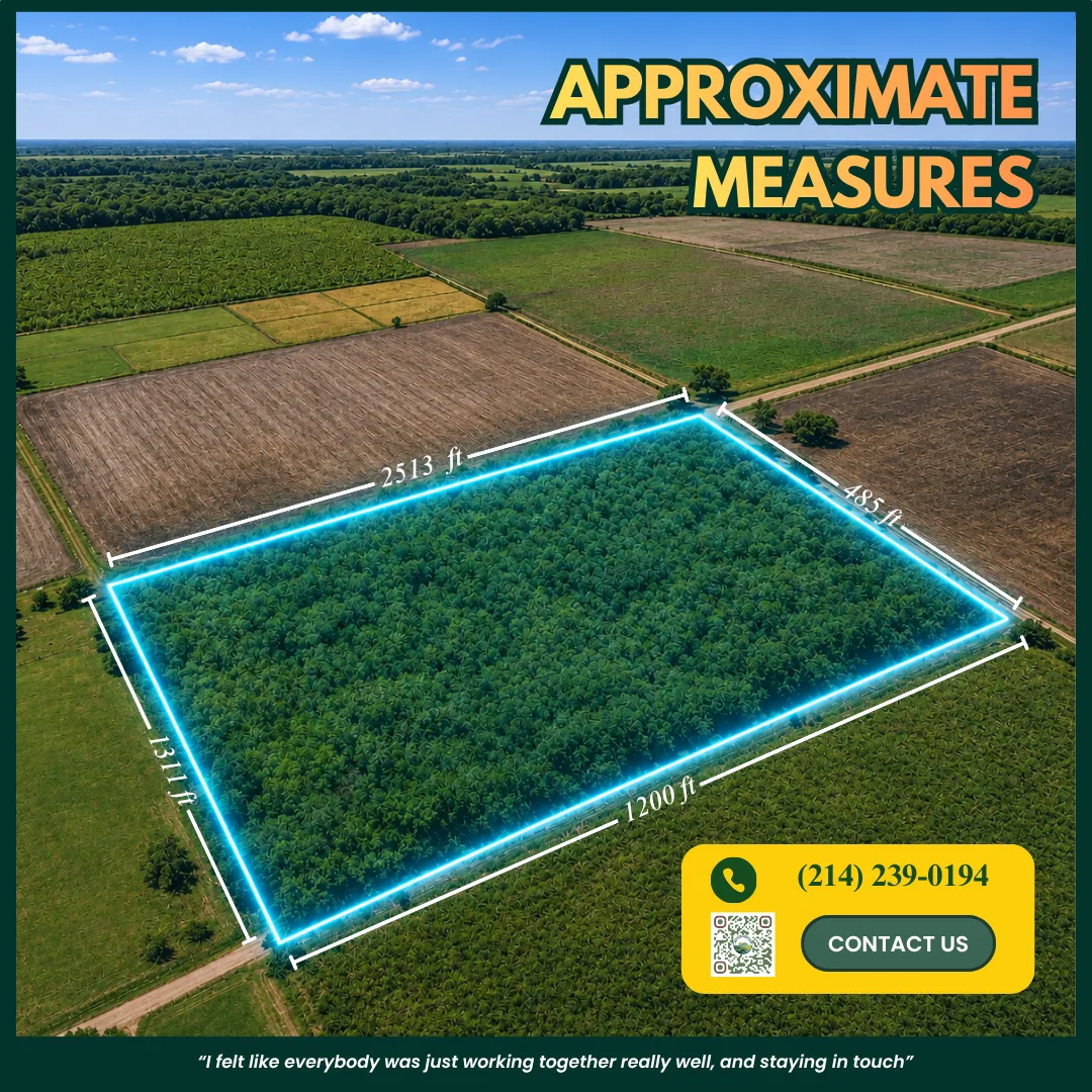 13.82 acres of land for sale in Los Fresnos, Cameron County, TX, photo 3