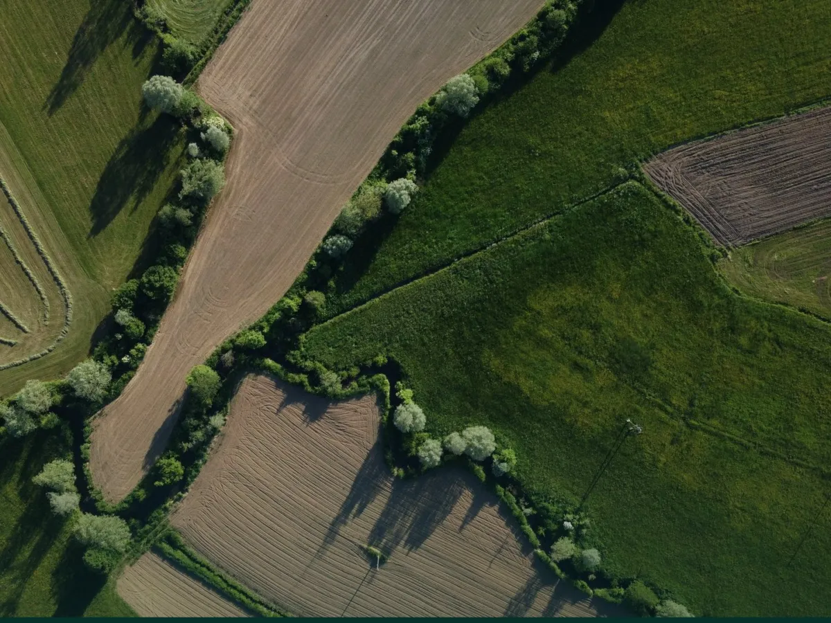 Aerial view of green fields divided by tree lines
