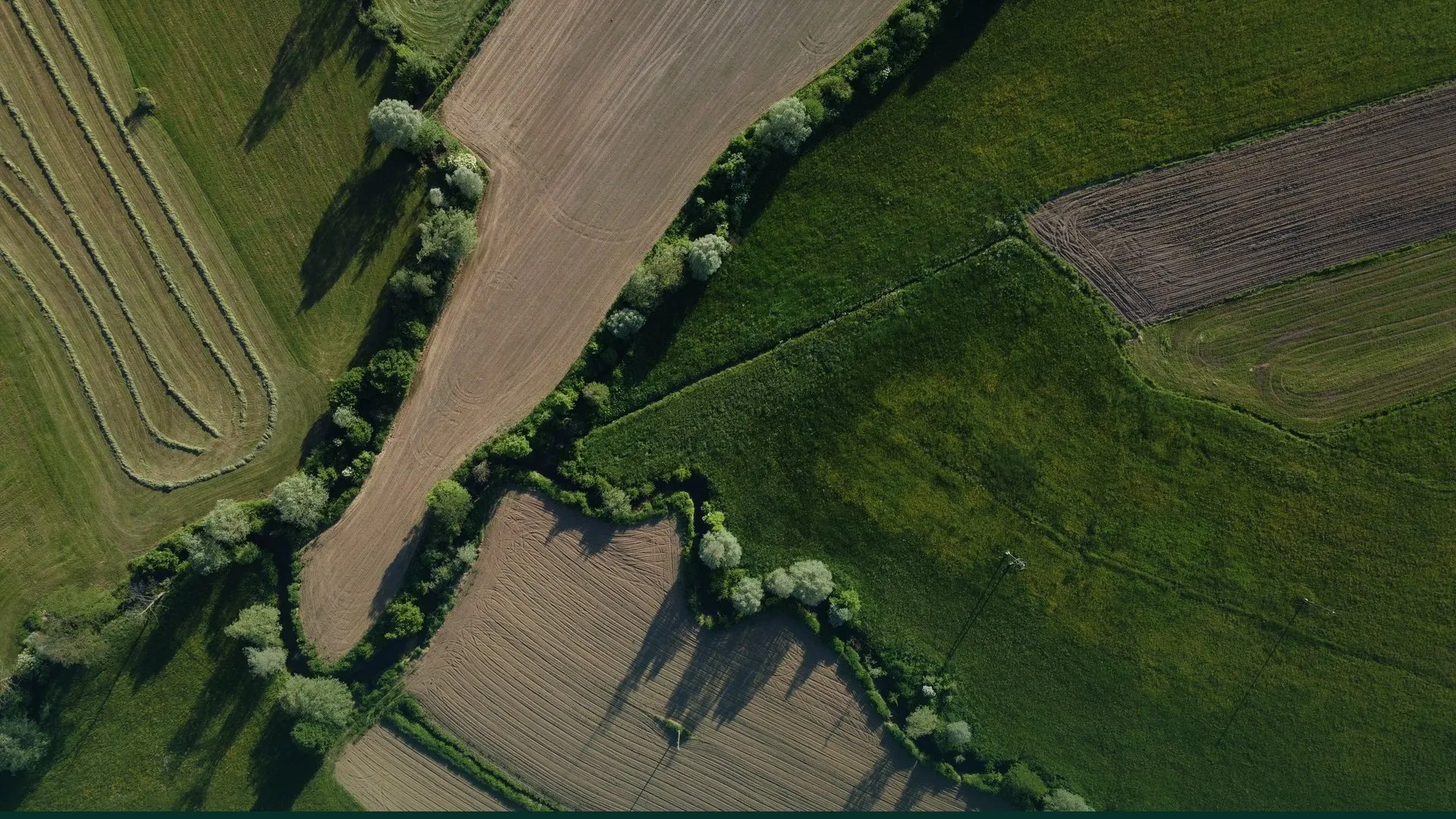 Aerial view of green fields divided by tree lines