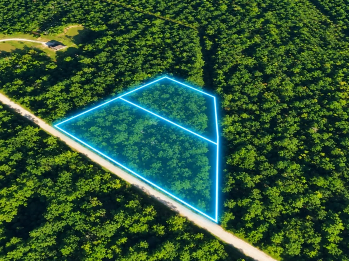 3.46 Acres in Lumberton, Hardin County