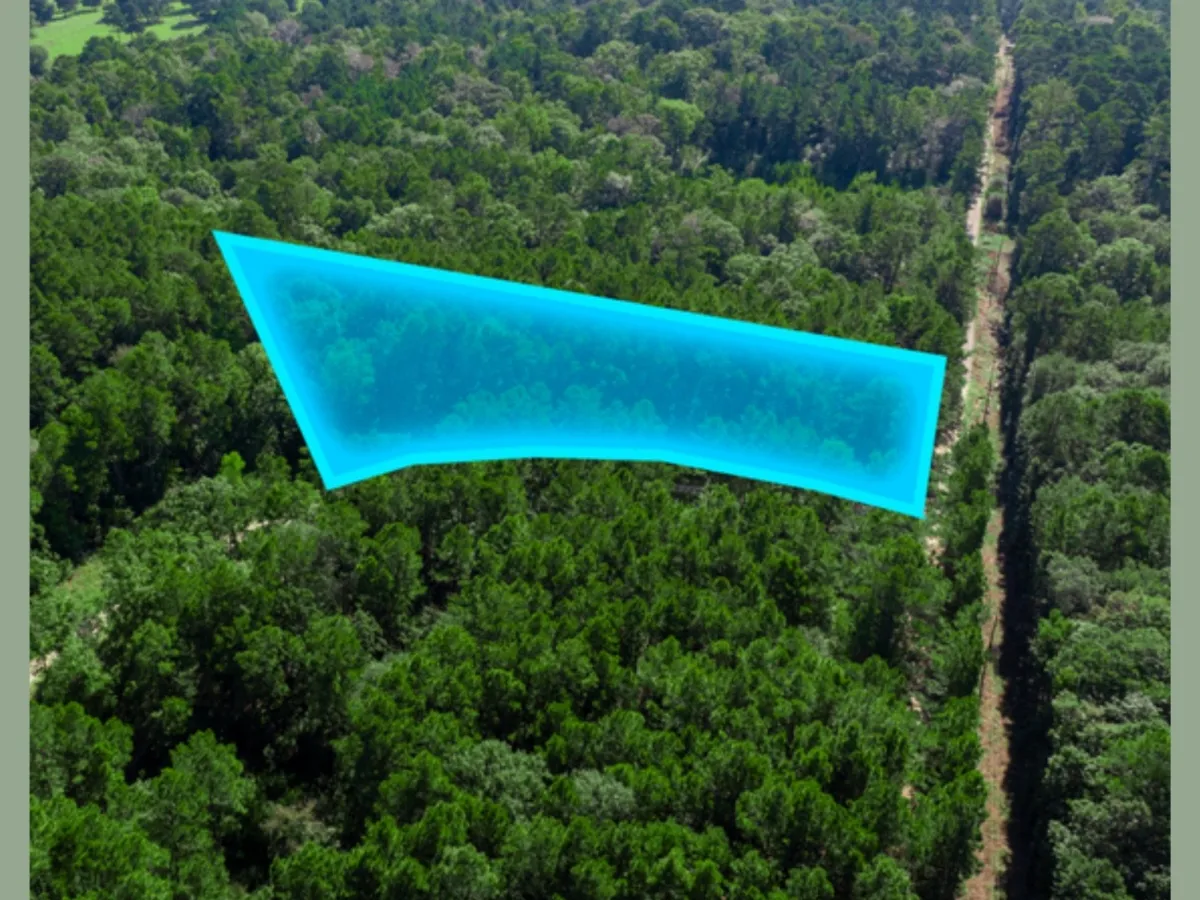 1.72 Acres in Oakhurst, San Jacinto County